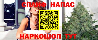 jwh Ставрополь