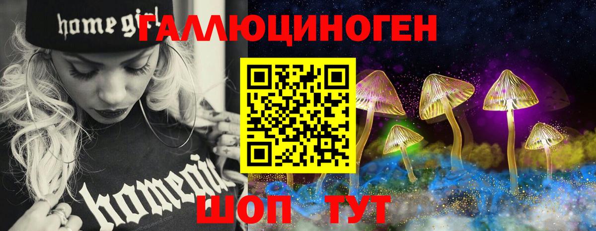 Родники  как найти   Вход с VPN  Псилоцибиновые грибы мицелий 